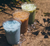 Latte Sampler - Green Matcha, Red Matcha, Turmeric Chai, Dirty Chai, and Blue Matcha ( 50 G / 38 CUPS)