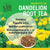 Organic Dandelion Root Tea (50g, 25 Cups)