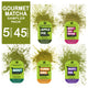 Gourmet Matcha Tea Sampler (50 gms, 45 cups)