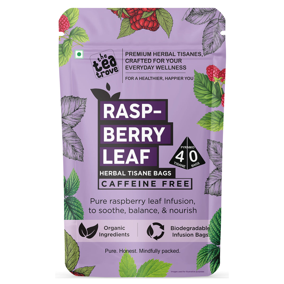 FVTB Organic Red Raspberry Leaf Tea Bags - 40 Pyramid Raspberry leaf t ...