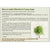 SuperBrew Organic Lemongrass Matcha (30 g)