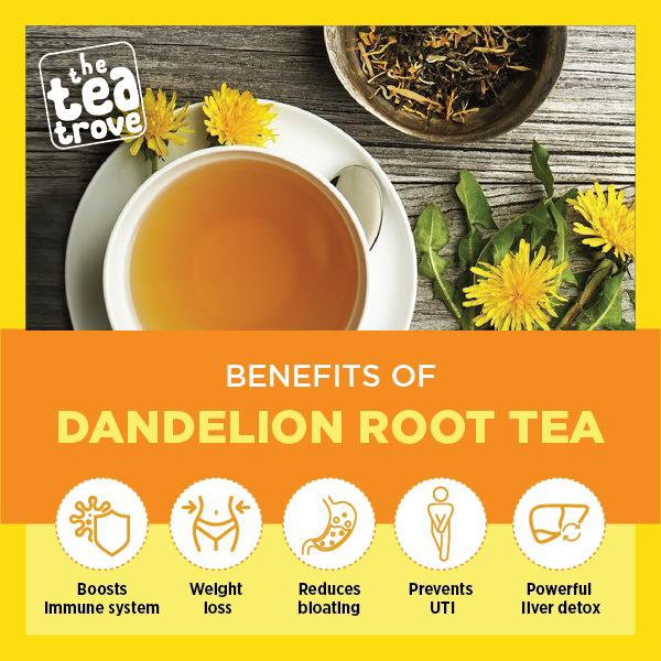 dandelion tea benefits () dandelion tea benefits