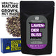 Lavender Bliss Black Tea (100 g, 50 Cups)