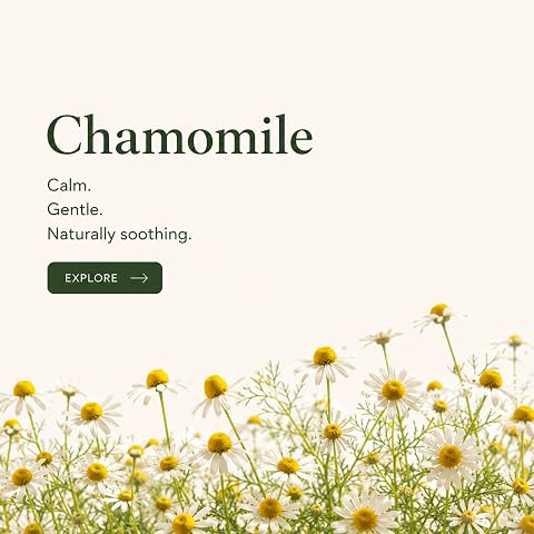 Shop Chamomile Tea