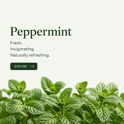 Shop Peppermint Tea