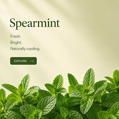 Shop Spearmint Tea